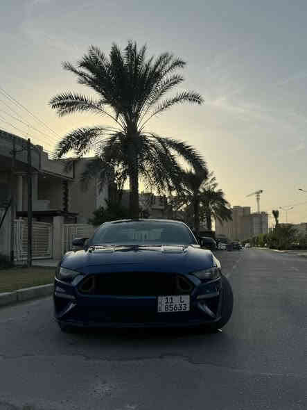 للبيع موستنك ايكو 2018
الحادث مرفق 2 ونص
ماشية 51 مايل
بدون ايرباك 

السعر 128$
عنواني بغداد حي جامعة
***********
