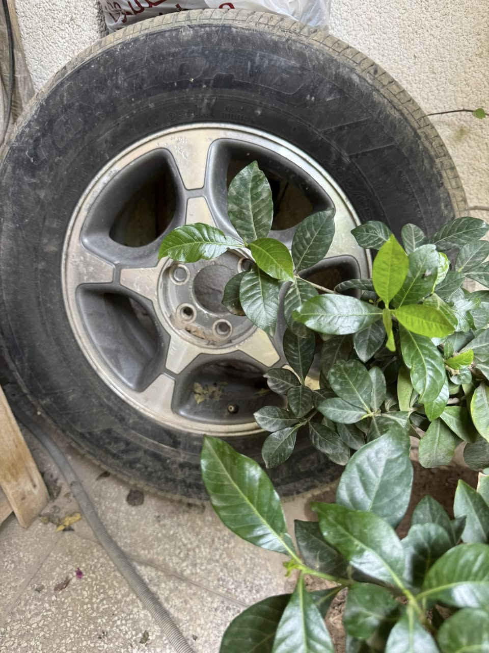 اغراض للبيع بلايزر 2008 
هـ/***********
في بغداد
