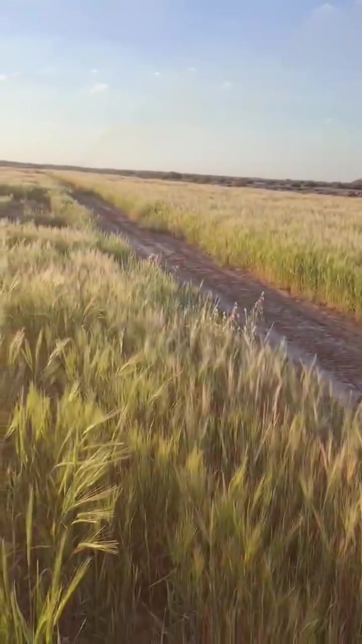 "أرضك اليوم هي ثروتك غداً، استثمر في المستقبل 4دونم ونص طابو زراعي سند25
موقع الارض حله منطقة ابراهيم الخليل عليه توجود كافة الخدمات بيه ماء لسقئ كهرباء تبعد عنه مسافه مكان هدوء وراقي من الجمال تصلح سكن وتصلح مزرعه تبعد عن الشارع العالم مسافة 3كليو
لاستفسار اكثر الاتصال
***********
***********
