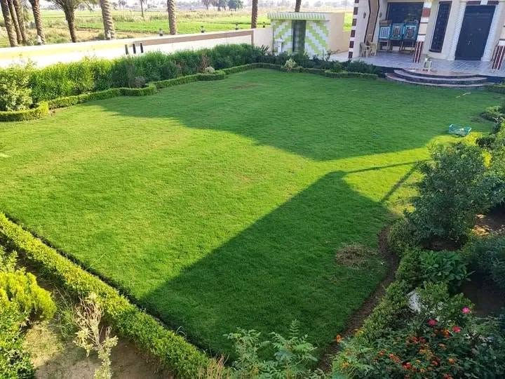 إذا حاب اتريد تكون عندك حديقة جميلة ومميزه اتصل بنا*********** واتساب او اتصال نعمل على تريتب وزراعة الحدائق المنزلية بكادر زراعي متميز
