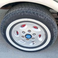 مراوس بويل منغولي 15 07802862248