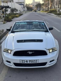 موستانغ • ٢٠١٣ • ٧٥٠٠٠ كم