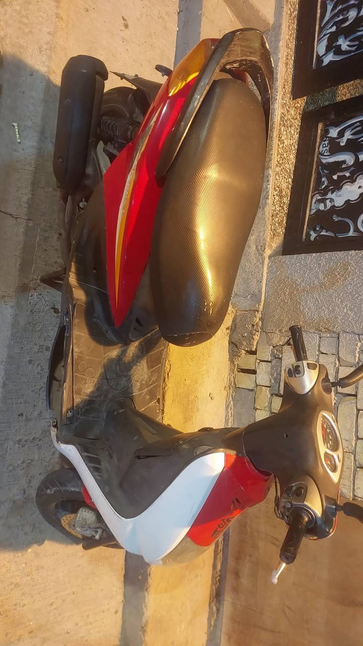 سكنس انثه  140  350 هياكل الغزاليه ***********
