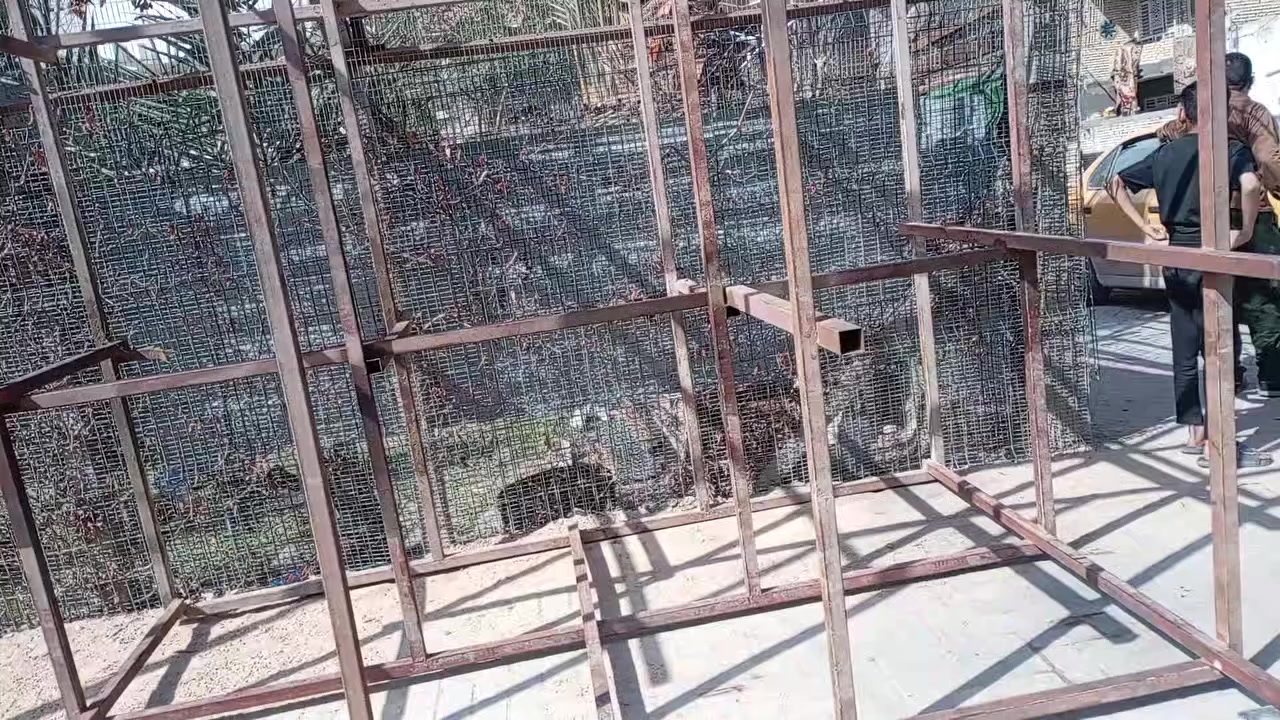 من رخصت مدير الكروب    سكله حديد للبيع مدينه الصدر


**إذا كنت صاحب هذا الإعلان وتريد حذفه لأي سبب، رجاءا أرسل رسالة إلى الدعم الفني**