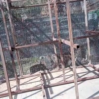 سقالة حديد • مدينة الصدر