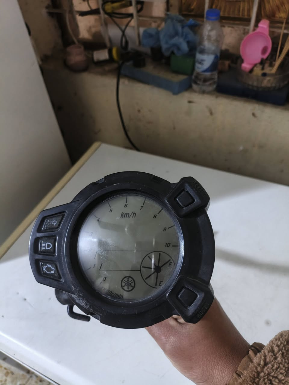 دشبول اصلي مال سكنس جبلي للبيع السعر 75 البكان بغداد حسينيه ***********
