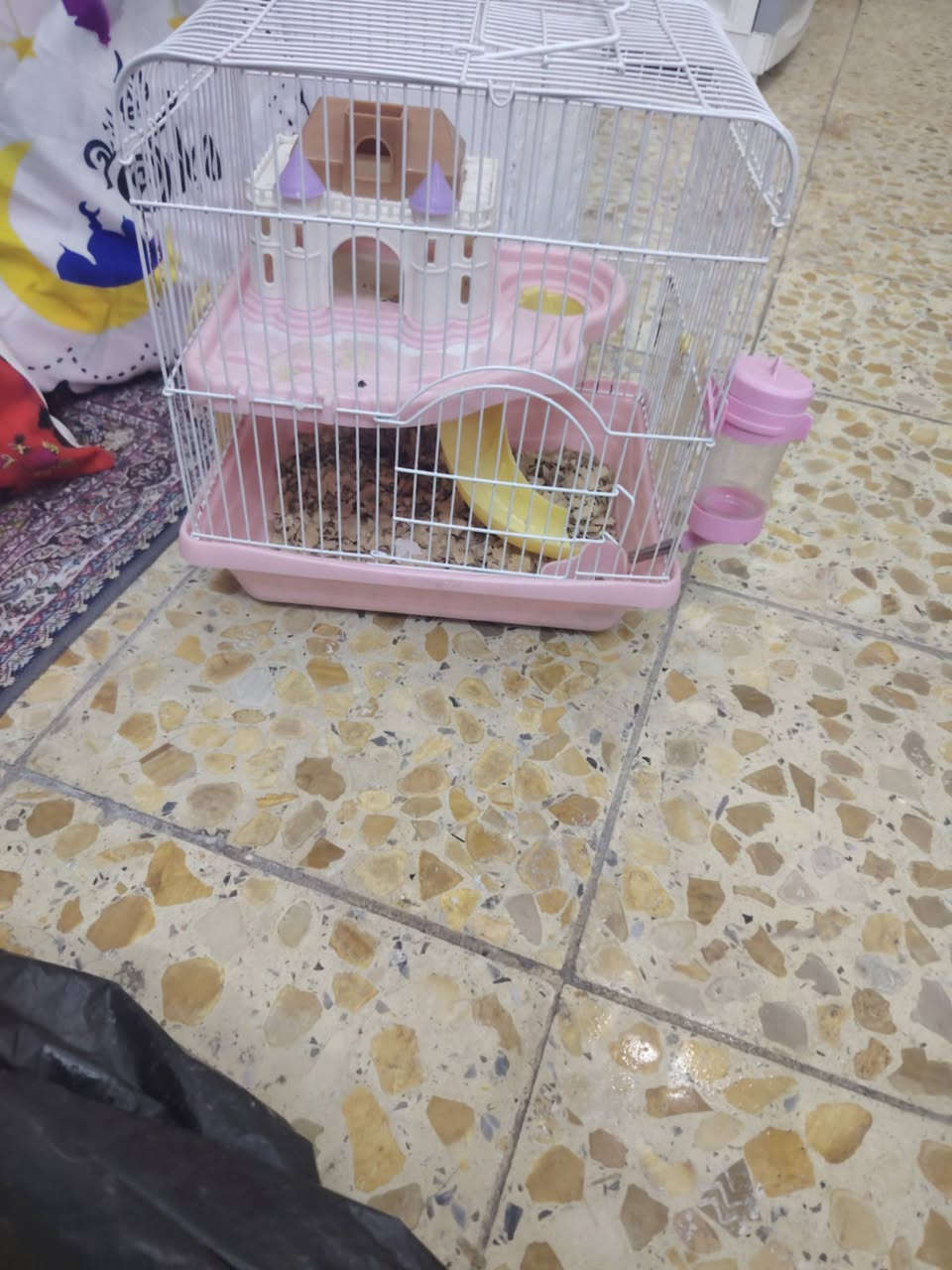 القفص 35
الأرگيلة 50 
المروحة ب30
والأرگيلة الكبيرة ب40
بغداد العطيفية


**إذا كنت صاحب هذا الإعلان وتريد حذفه لأي سبب، رجاءا أرسل رسالة إلى الدعم الفني**