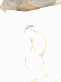 جزع سليماني • خرزتين • طاقة روحانية