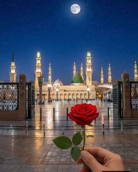 شركة أهل الرشيد • عمرة شعبان • بر و جو