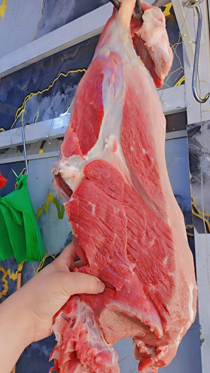اسعار لحم الغنم في قصابة 🥩
قصابة ام المساجد 🥩

شارع ابو السنوره قرب كوفي سراج 🥩

خروف خالص هرفي ب19 الف 🥩

عجل فخذ خالص ب 16 شرح 🥩

لحم مثروم خالص ب 10 الف 🥩

جلاوي غنم ب 10 الف 🥩

ليه هرفي ب 16 الف 🥩

للاستفسار مراسلة الارقام
***********
***********
***********
العنوان الفلوجه الشهداء شارع ابو لنسوره قرب كوفي سراج 🫖
