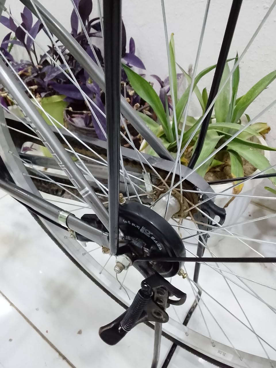 للبيع بايسكل City Bike لون رصاصي نظيف جدًا
استعمال يوم واحد فقط والباسكل بحالة الجديد تمامًا بدون أي مشاكل

المواصفات:

- سلة أمامية
- ستاند موبايل
- ضوء أمامي وخلفي
- ستاند جانبي
- مريح جدًا للمشاوير والتمشية

السعر: 150 ألف قابل للنقاش البسيط
المكان: الغزالية / مديرية الأمن

للتواصل واتساب أو اتصال:
***********
