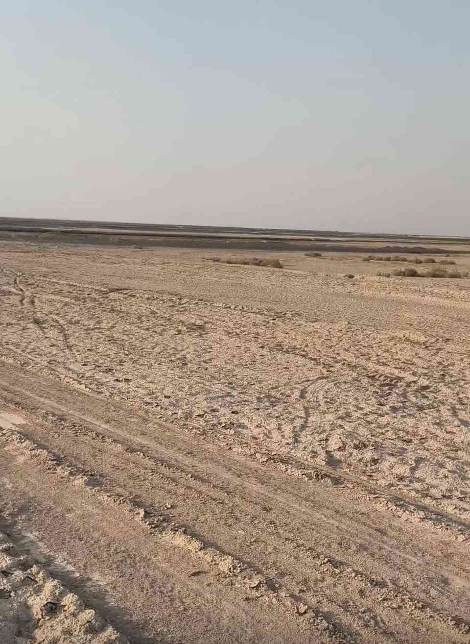 السلام عليكم
ارض زراعيه مشتركه 14 دونم في النشوه 
  سعر الدونم 7 مليون  تصلح كلشي  بصفهه نهر 
***********
