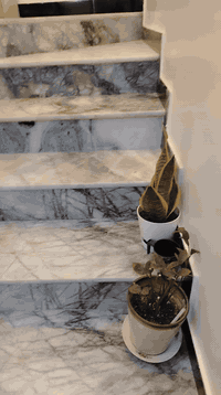 البيت للبيع مساحة ٢٠٠ م ع شارع ١٢م مقابل مطعم موسى الكاظم قرب جامعه العين بناء ٢٤ بيت وشقه البيت يتكون من ٤ غرف و صالتين واستقبال ومطبخ وصحيات ٣ الشقه معزوله تتكون من غرفه واستقبال ومطبخ وصحيات مواصفات البناء شيش الماس كونكريت المهدى الماء والكهرباء والمجاري أفياء سعوديه بورسلين جداري الأرضية ايفا أبواب تركيه كل مواد البناء درجة اولى للاستفسار الاتصال على الرقم ***********
