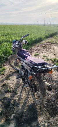 ارشه منافيس • مكفول • قوش تبه