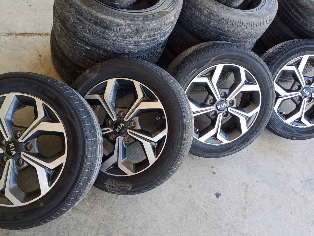 تخم ويل كب فورتي سيراتو اصلي شركة حجم ١٦ بيع أو مراوس العنوان بغداد الشعلة ***********
