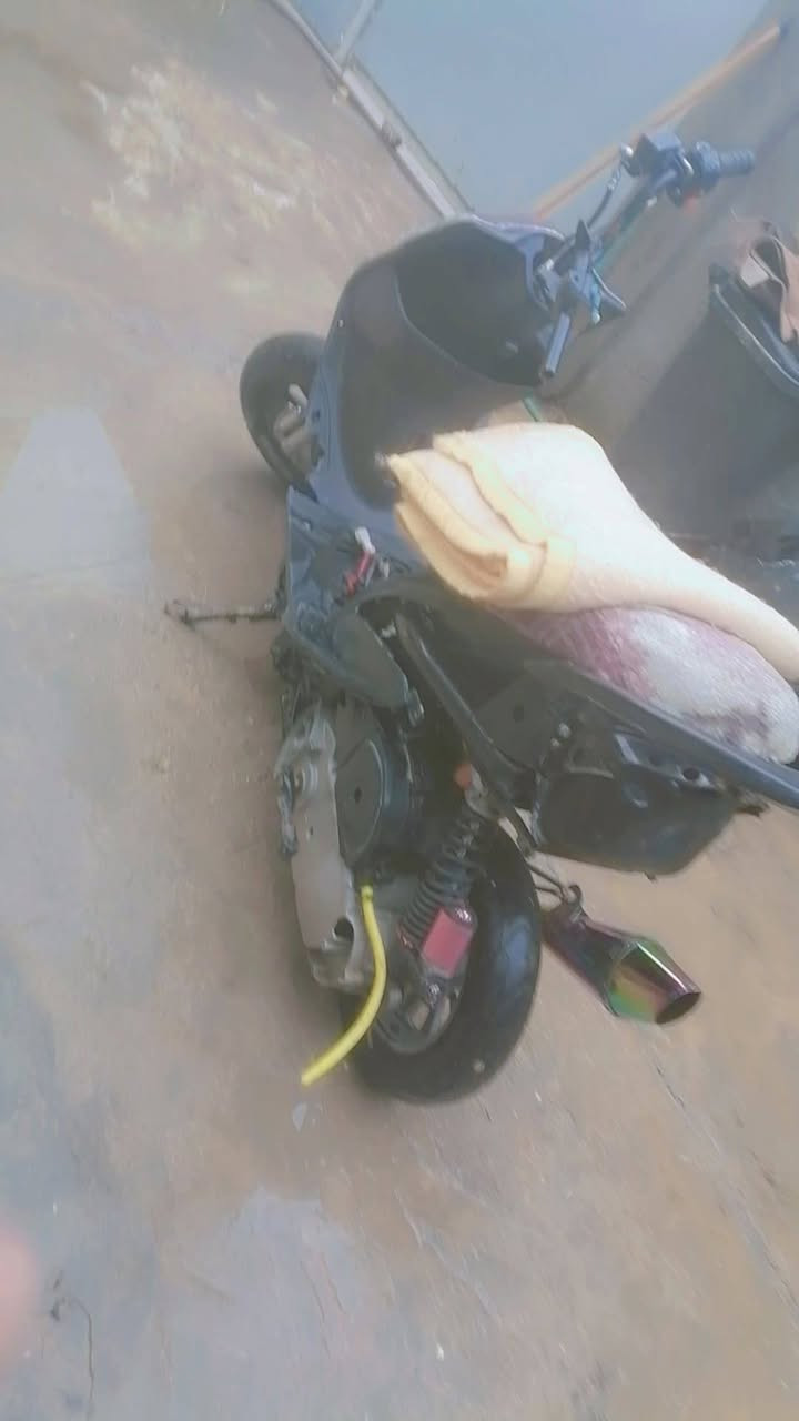 السلام عليكم ورحمة الله دراجة دايون عضم 2018 اوراق اصولي الدراجة خير من الله مكفولة من اي شي
و دراجة ماكس عدلة حربي و غراضهة كلهة موجودة
الدراجات اثنينهن امراوس ابستوتة اشعدك نزل مكاني كربلاء


**إذا كنت صاحب هذا الإعلان وتريد حذفه لأي سبب، رجاءا أرسل رسالة إلى الدعم الفني**