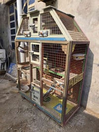 قفوص • ٣ قطع • البصره جزيره كباسي