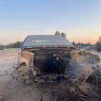 بيجو روا • تسقيط • رقم ألماني