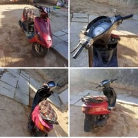 فراشه فحل • موتور • للبيع