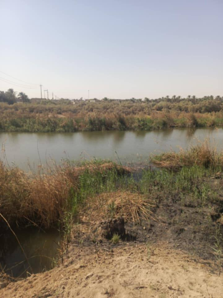 للبيع 4 دونم زراعي أسهم منطقة گدر مناحي على شط العطشان تبعد 4 كم عن مقام الامام المهدي  *********** الاتصال على الرقم
