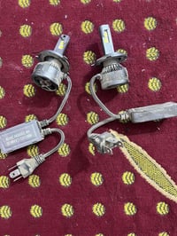 شلونها الزلم : زنون ثلجي عالي ناصي  يشهد العباس من اتشغله بليل عبالك ن...