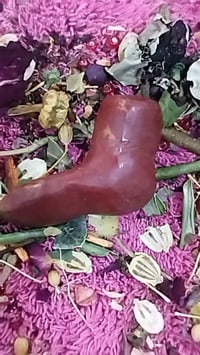 قدم جان سلطاني • منقول مجرب • الميمونة ميسان