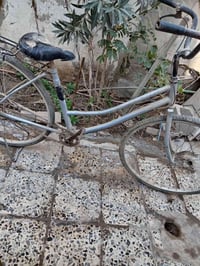 باسكل • مركز الديوانيه