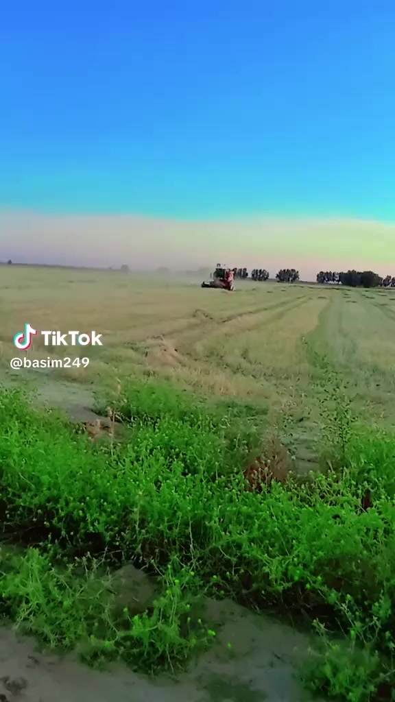 السلام عليكم للبيع حاصده لافرده موديل 2005 مكفوله كفاله عامه محرك كير اكسلات معمل عله وضع الشركه ماممدود عليه اسبانه الاستفسار علا الرقم***********
