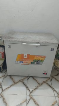 مجمدة • الحافظ • على الفحص