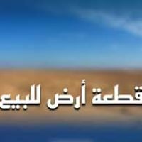 أرض تجارية • ٢٢٢م • الديوانية