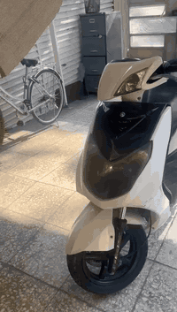 سكنس فحل للبيع دراجه نوزل خطين مكينه ناعمههه كلش اي صوت مابيه سلفه شغا...