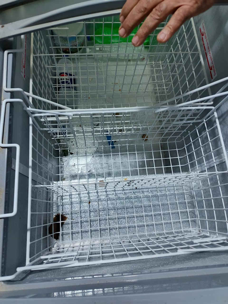 عارضه براد عدد ٢ الوحدة ٤٠٠
مجمدة ٤٠٠ 
سلات جبوسة عدد ال٣ الوحده ٥٠ 
معلومه الغراض جدد بعدهن مستخدمه شي قليل 

***********
