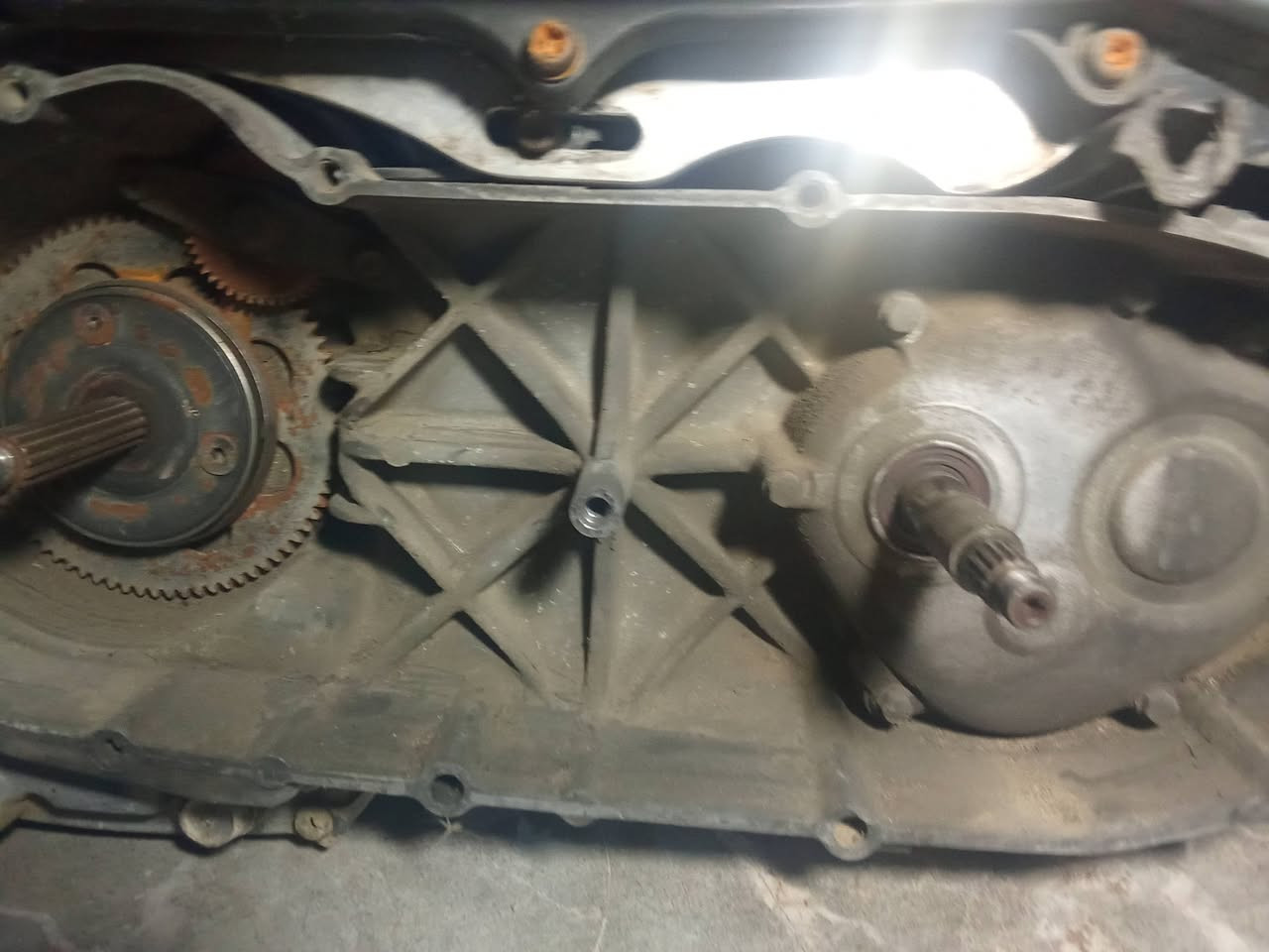 يالله سلام عليكم شباب مكينه ماكس عدله طابوكه مفتوحه بس بوشه اصله لمكينه 55 مكاني بصره قضاء المدينه لستفسار خاص 🤍 ولي مايعرف لا يطب رحمات لهلكم


**إذا كنت صاحب هذا الإعلان وتريد حذفه لأي سبب، رجاءا أرسل رسالة إلى الدعم الفني**