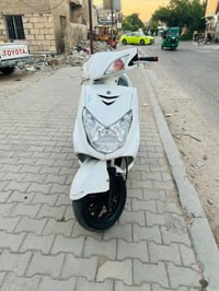 سكنس فحل • نوزل خطين • اوراق كاملة