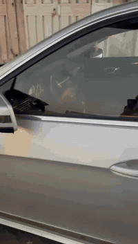 من رخصة الآدمن  السلام عليكم حبايب گلبي للبيع فقط …! السعر / 15.000 $ ...