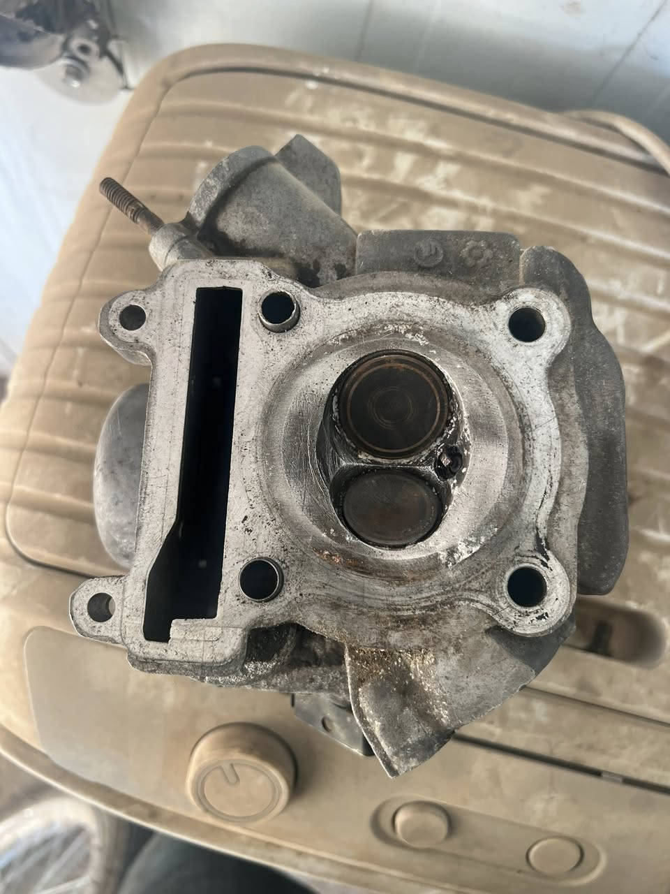 كور توبو ولفين كبار                  100
سدر Rgsذهبي                        125
قبق سكني جبلي                       30
يدات توبو.                               15
 
مكان حله    توصيل موجود 
***********
