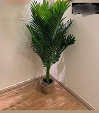 سنادين زينة • الودق • أثاث منزلي