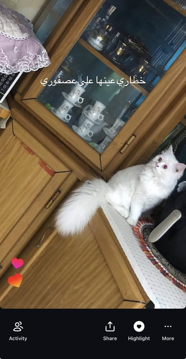 كاونتر مستعمل للبيع


**إذا كنت صاحب هذا الإعلان وتريد حذفه لأي سبب، رجاءا أرسل رسالة إلى الدعم الفني**