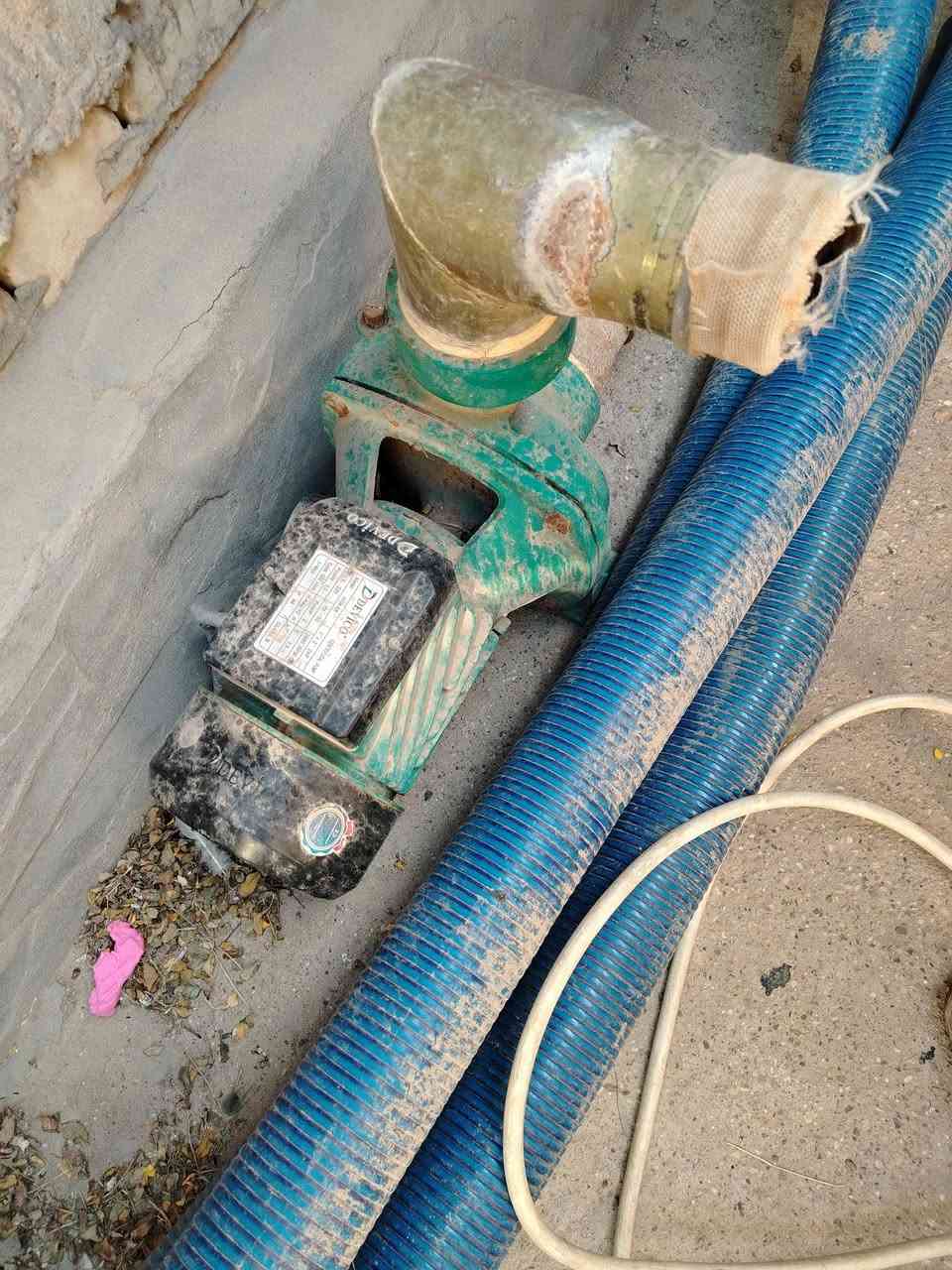 للبيع كلمن وسعره.   ***********
