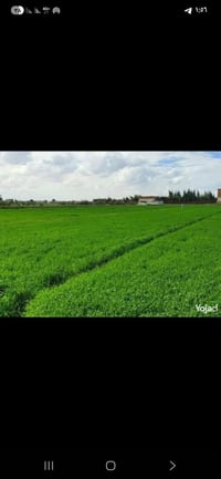 اليوسفية القصر الاوسط • أرض • ٢٥٠٠م