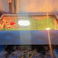 قنفه • كرسي • جديد