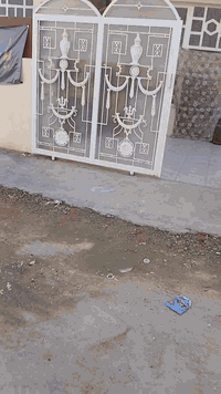 دار 150متر في حي الصحه
خلف مسبح السندباد
سند 25
3 غرف نوم
***********
