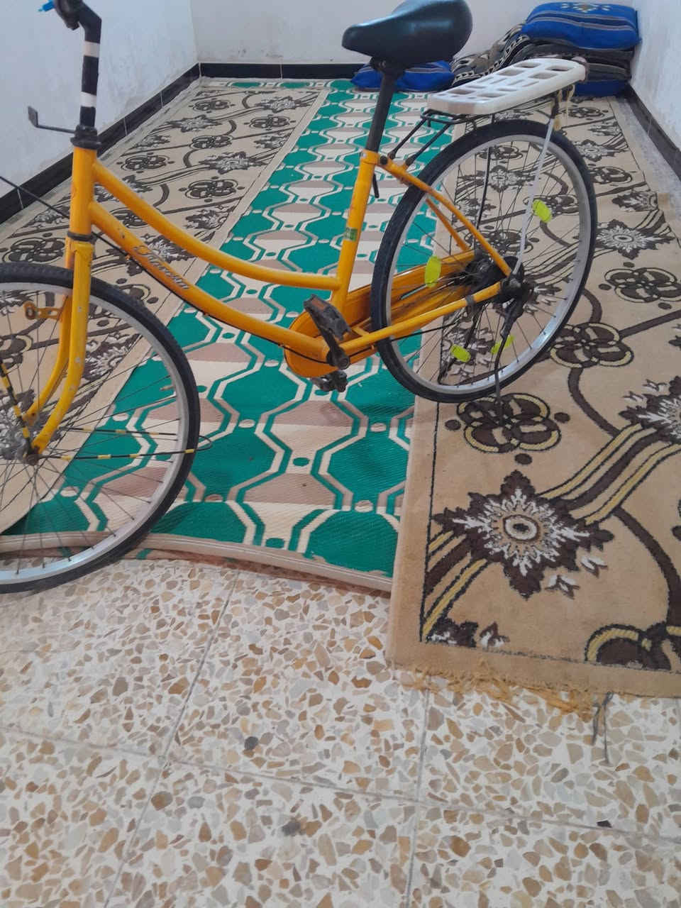 بسكل بيع  لحجم 26 سعر 55 وبي مجل شري جي خاص


**إذا كنت صاحب هذا الإعلان وتريد حذفه لأي سبب، رجاءا أرسل رسالة إلى الدعم الفني**