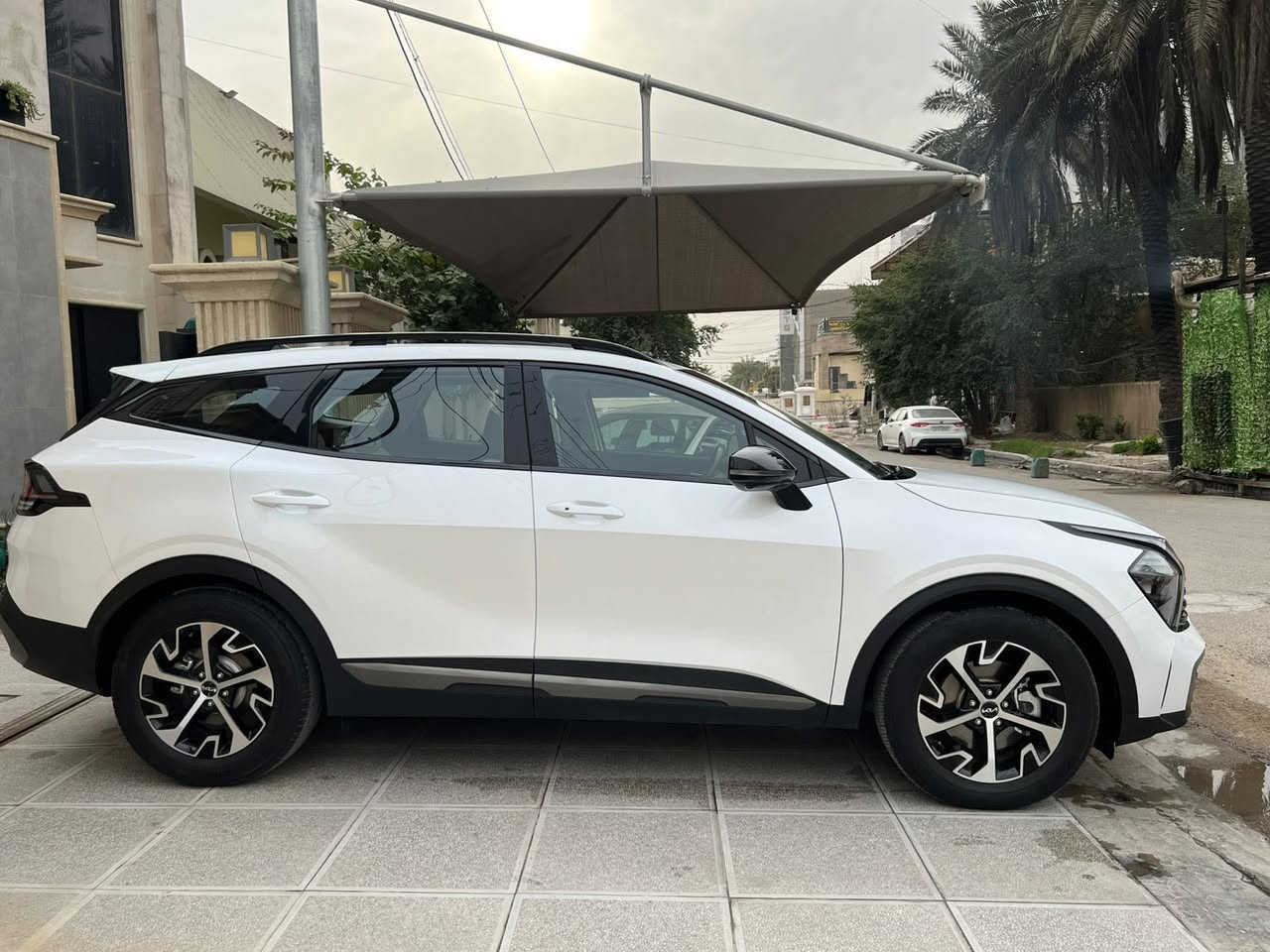 السلام عليكم 
سبورتج هايبرد تجمع الصين مكفوله كفاله عامه 
ماشيه ١٧ الف 
فوول مواصفات 
بانوراما 
بصمه تشغيل وابواب 
داخل جلد كراسي كهرباء مع تدفئه وتبريد للمقاعد 
ستيرن تدفئه 
حساس امامي وخلفي 
لايت زنون بك لايت لد 
صندوق كهرباء 
كير ماوس 
كامرات عدد ٤ 
شفتات بالستيرن 
داخل جلد ابيض ونيلي 
مواصفات هوايه 
المهم اعلى فئه 
رقم بغداد بسمي 
مكانها بغداد الكراده 
السعر ٢٣٥ وبيها مجال بسيط 
***********
