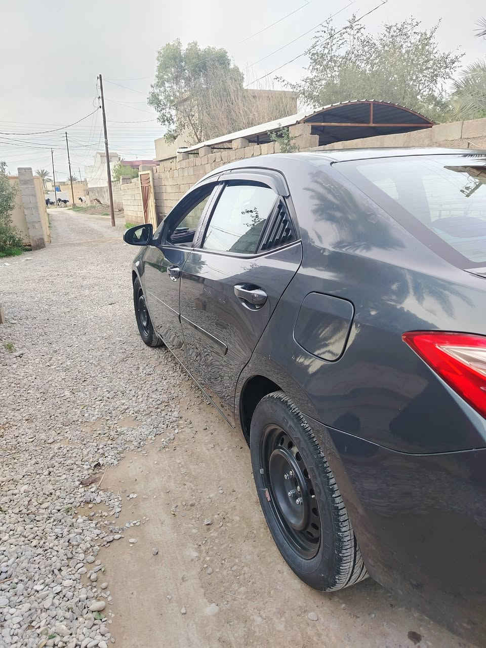 سلام عليكم اخوان
كورلا موديل 17وارد امريكي 
ضرر جامرلق خلفي وقمارة كلير 
اثر جراد صابقيهة كلير امنت 
الله سيارة نضيفة بجم كبس بدون 
ايرباك موصفات ايل اي سيارة بسمي
مكينا 1800بلادية حت لحجر موجود 
تجي وشف بعينك واني مخلي سعر 
مال بيع 125سيارة خير من الله مو شراي لا تكسر بحلال ناس رقم صاحب سيارة ***********
