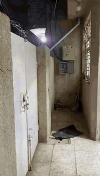 بيت للاجار مساحه 110 طابق ارضي قرب الهياكل مراجعه مكتب ابو سجاد الركابي قرب اسواق عبودي ***********
