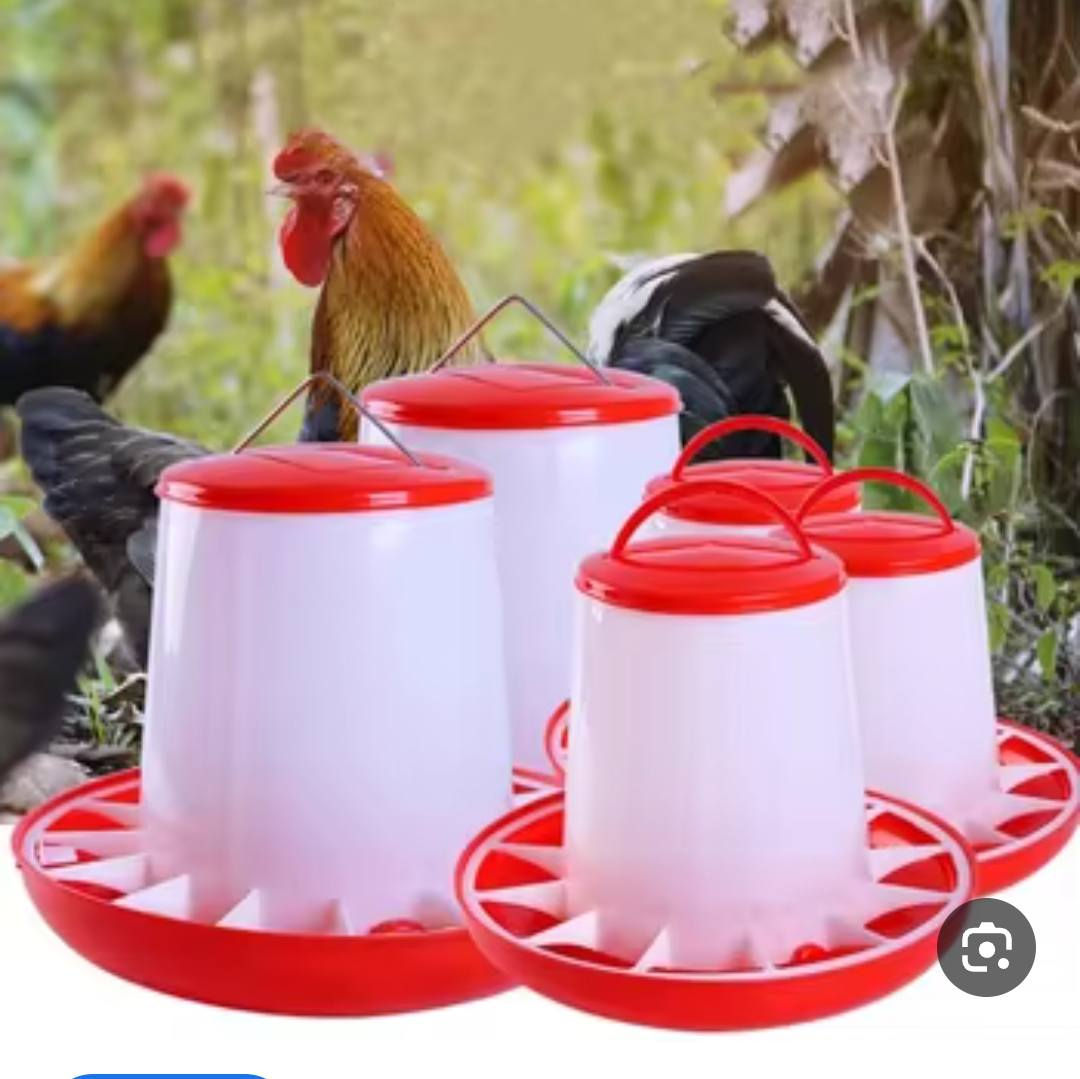 سعرهن كلهن 15       واصل


**إذا كنت صاحب هذا الإعلان وتريد حذفه لأي سبب، رجاءا أرسل رسالة إلى الدعم الفني**