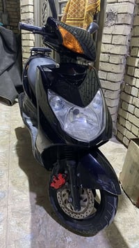 سكنس فحل للبيع الدراجة بلادية ونضيفة كلش مثل ما واضح بالصور وبس تطخ ال...