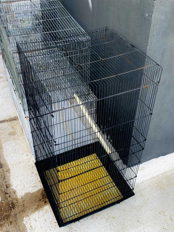 بسم الله الرحمن الرحيم 

أقفاص للطيور 🪽والببغاوات 🦜 للبيع 
ب 60 كلهم 💵. للعلم اقل واحد بيهن مشتري ب 20 واكو بيهن اشتريته وما أستخدمته ‼️

للتواصل ***********📲
موقع 📍مقابل جامعة ديالى
