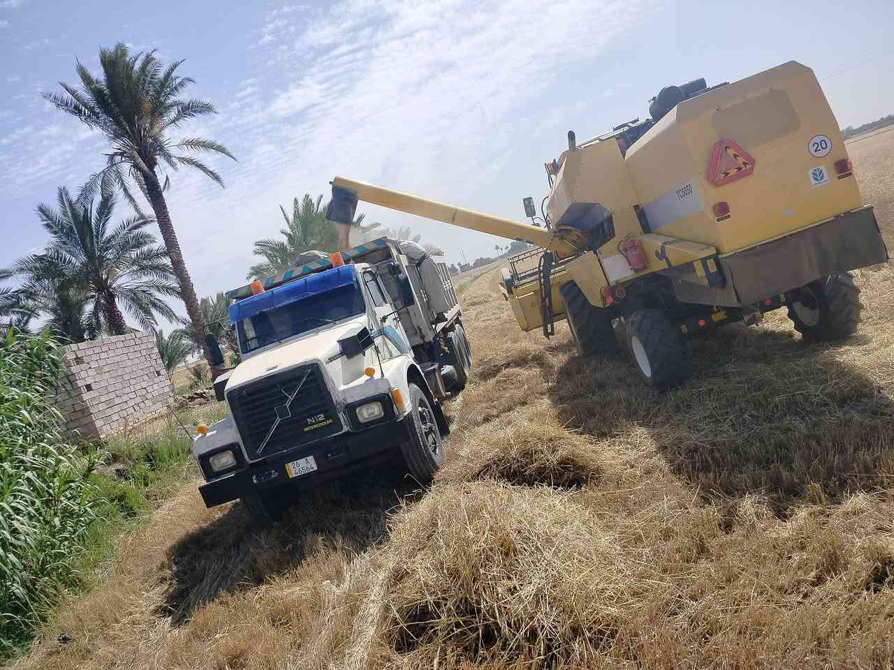 السلام عليكم فالفو للبيع اسرائيلي موديل 89بلادي مكينة ستندر 122 كير اربعه باربعه سيارة تخم تاير  مجموعة النكي دوشمه جديدة رقم انكليزي باسمي مداور ثاني يوم سنوية صادرة السنة 2031ما عليه غرامات سيارة جاهزة للعمل رقم الهاتف ***********
